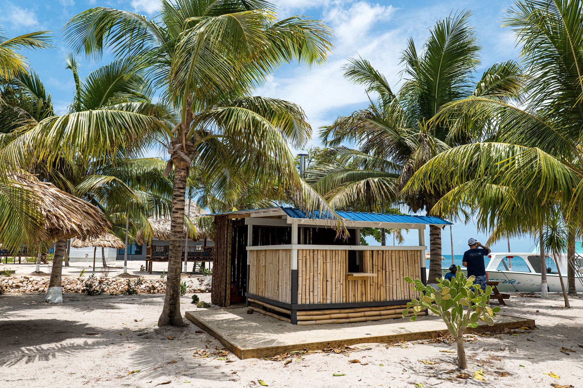 Small wooden beach hut among palm trees on a sunny tropical shore with ocean in the background