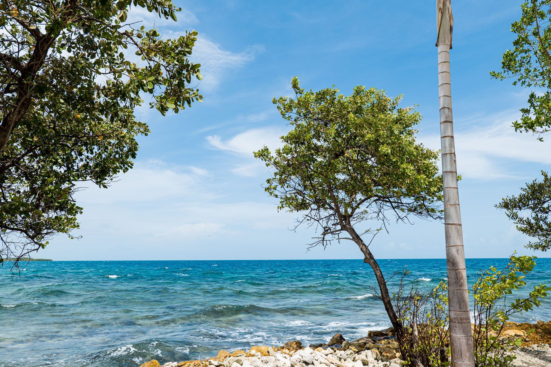 Blue ocean shoreline with rocks and trees under a clear sky