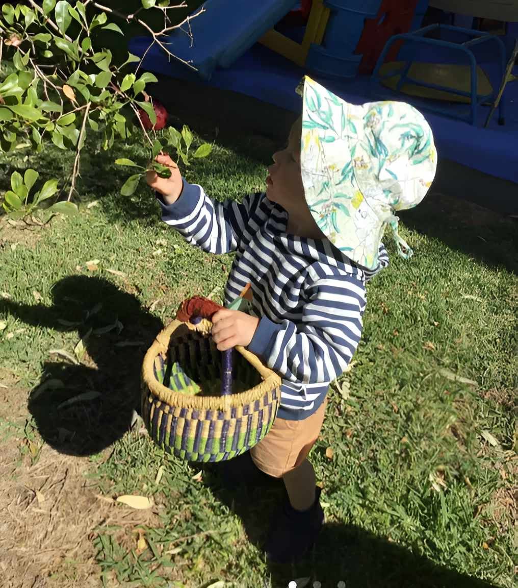 A Little Boy Wearing A Striped Shirt And A Hat Is Holding A Basket โ Gap Community Early Learning Centre In The Gap, NT