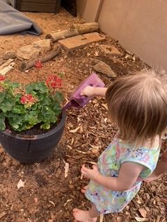A Child is Watering Plants in a Garden — Gap Community Early Learning Centre In The Gap, NT