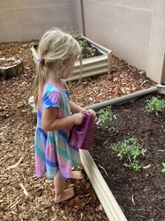 A Child Is Watering Plants in a Garden — Gap Community Early Learning Centre In The Gap, NT