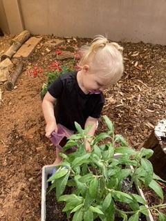 A Child Watering A Plant — Gap Community Early Learning Centre In The Gap, NT