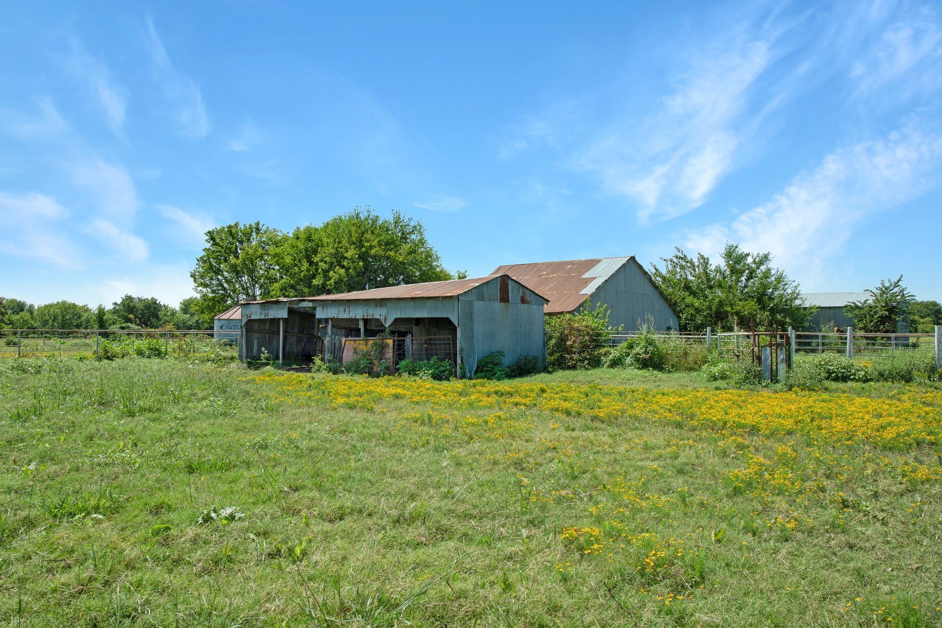 Old farm buildings sit in a grassy field dotted with yellow wildflowers under a bright blue, partly cloudy sky.