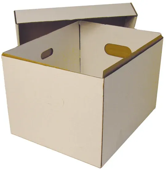 White cardboard storage box with lid slightly open, brown interior, and handle cutouts.