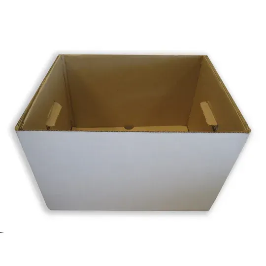 White cardboard box with cutout handles.
