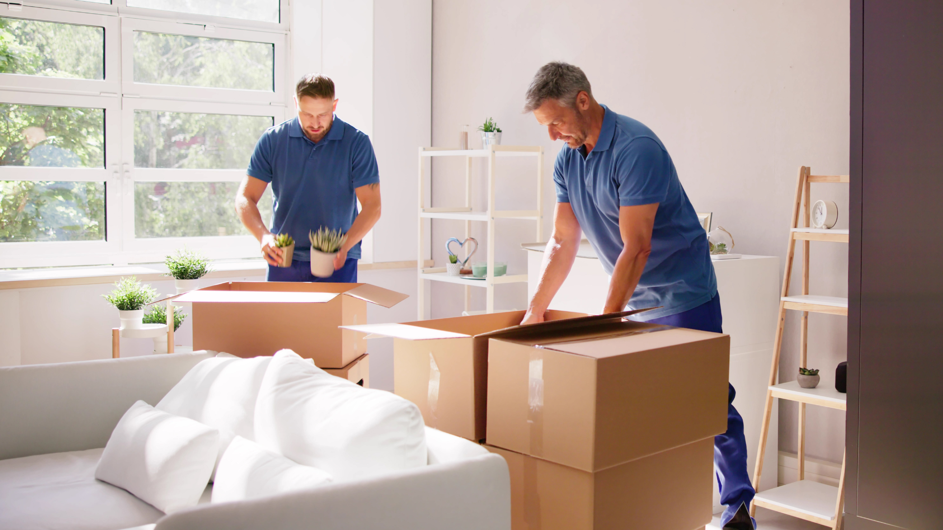 Two men packing boxes in a brightly lit room with a window, plants, and sofa.
