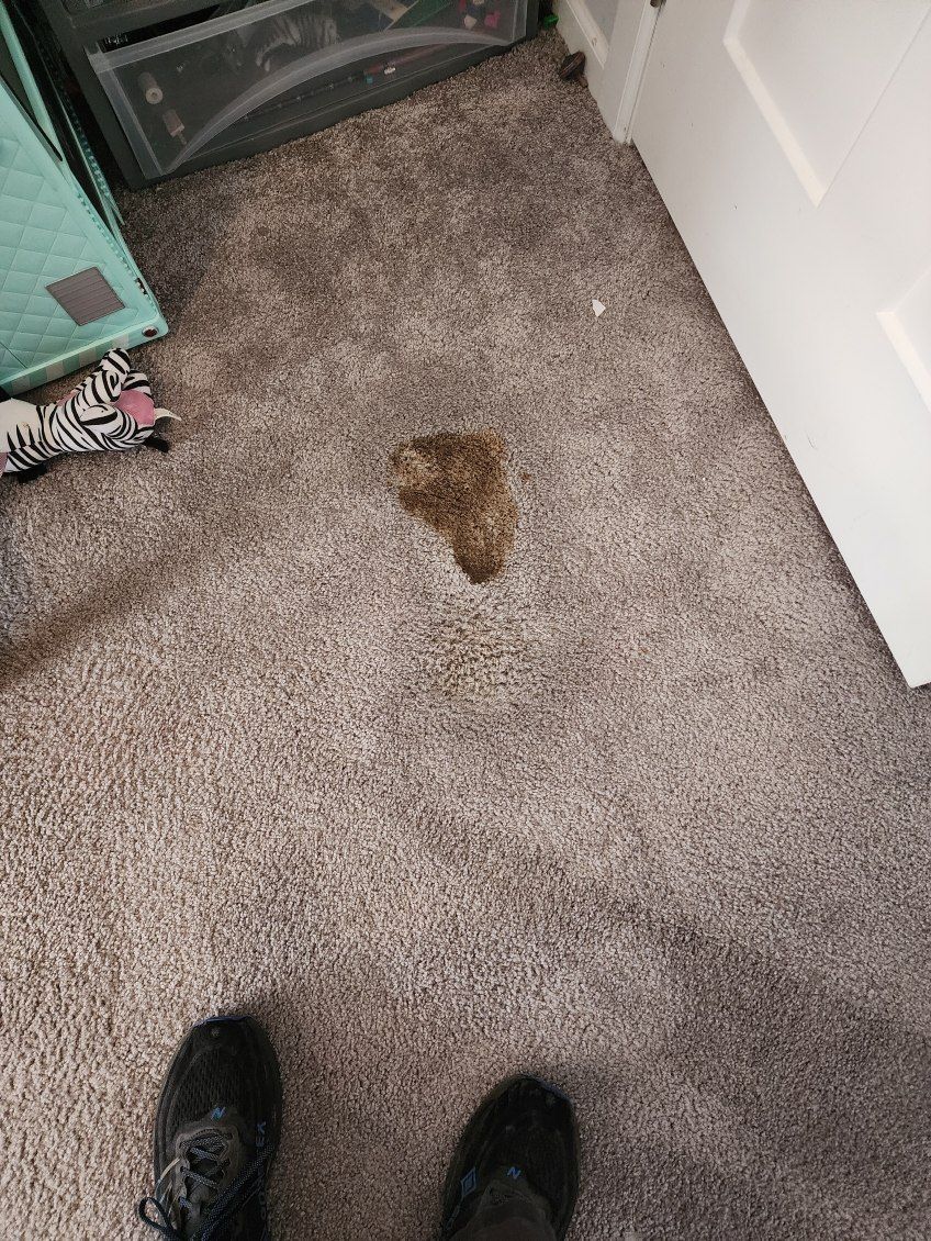 Carpeted bedroom floor with a small brown furry object near the door and black shoes at the bottom edge