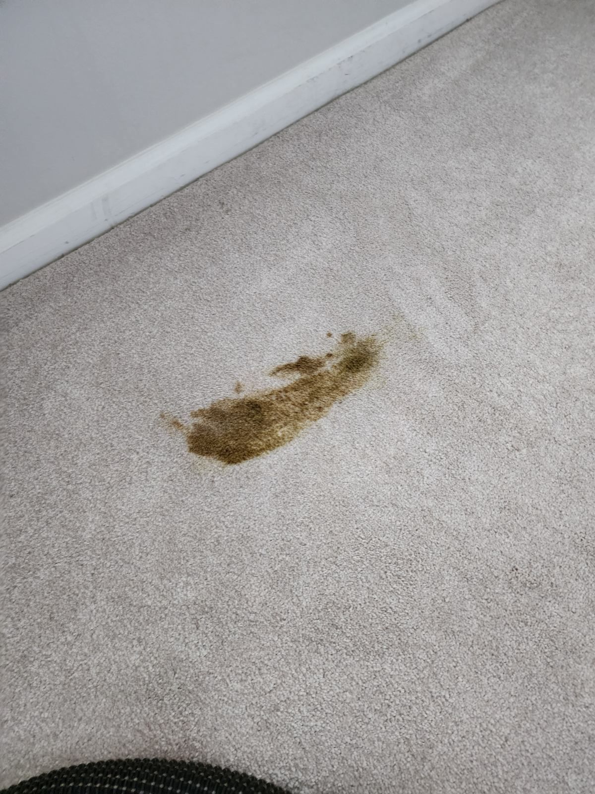 Brown stain on a light carpet near a white baseboard.