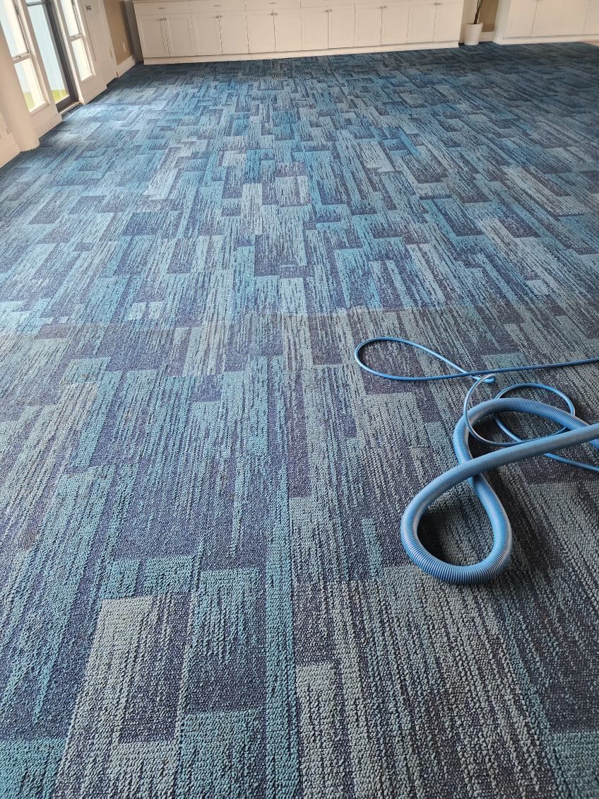 Blue patterned carpeted hallway with a coiled blue cord on the floor