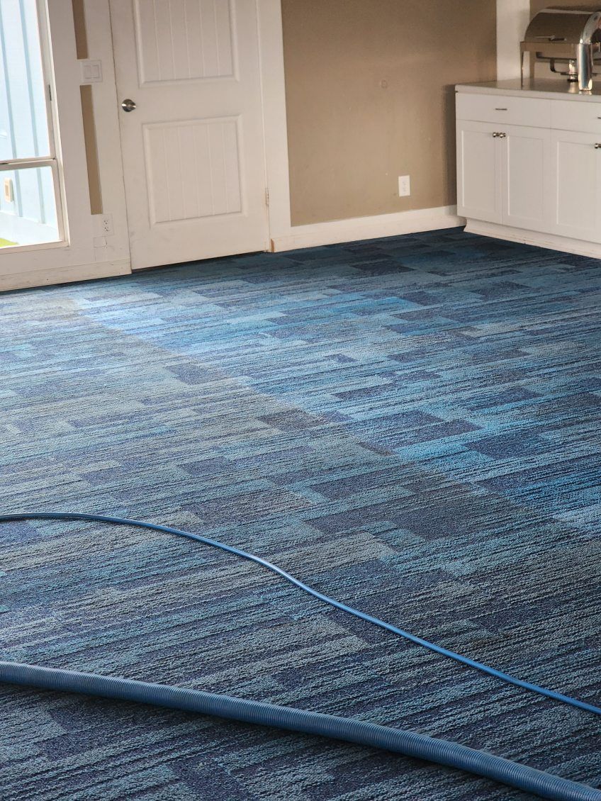 Empty room with blue carpet, white cabinet, and beige walls.