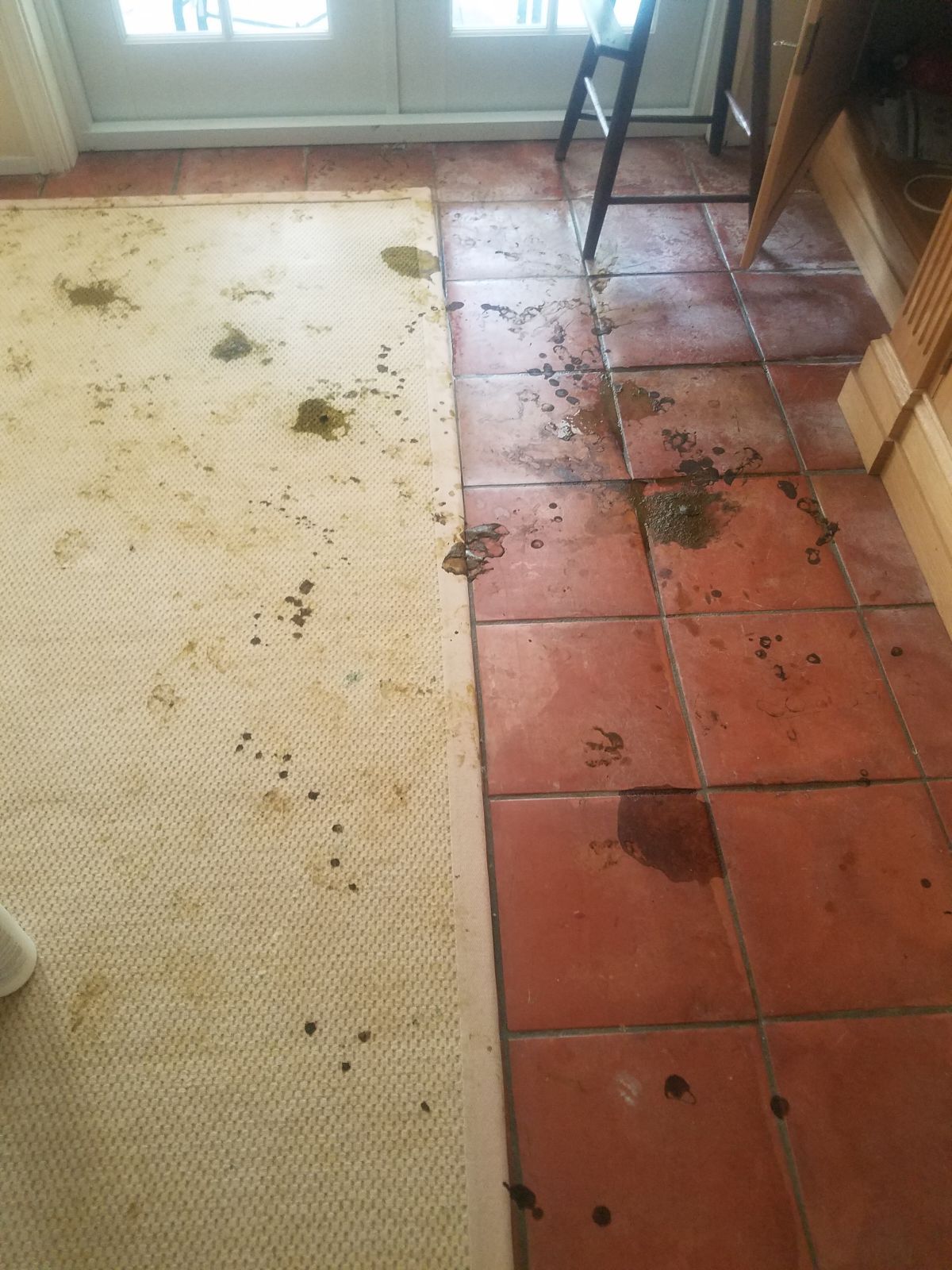 Messy kitchen floor with spilled debris on beige carpet and red tile near a window and table leg