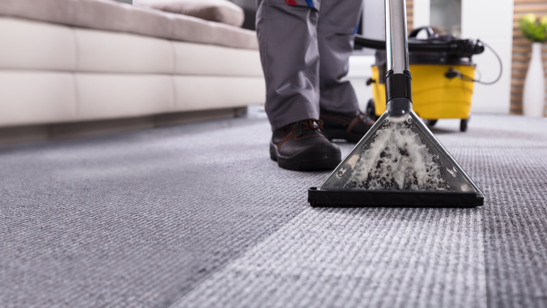 Carpet cleaner using an extractor on a gray rug in a living room