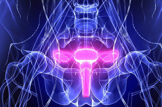 Gynecological — Pap Smear Checkup in Manchester, NH Gynecological — Pap Smear Checkup in Manchester, NH