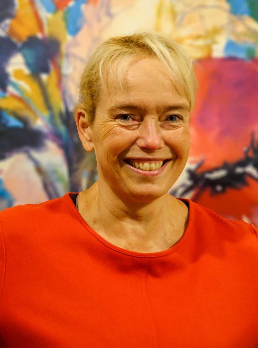 PVDV bestuur commissies