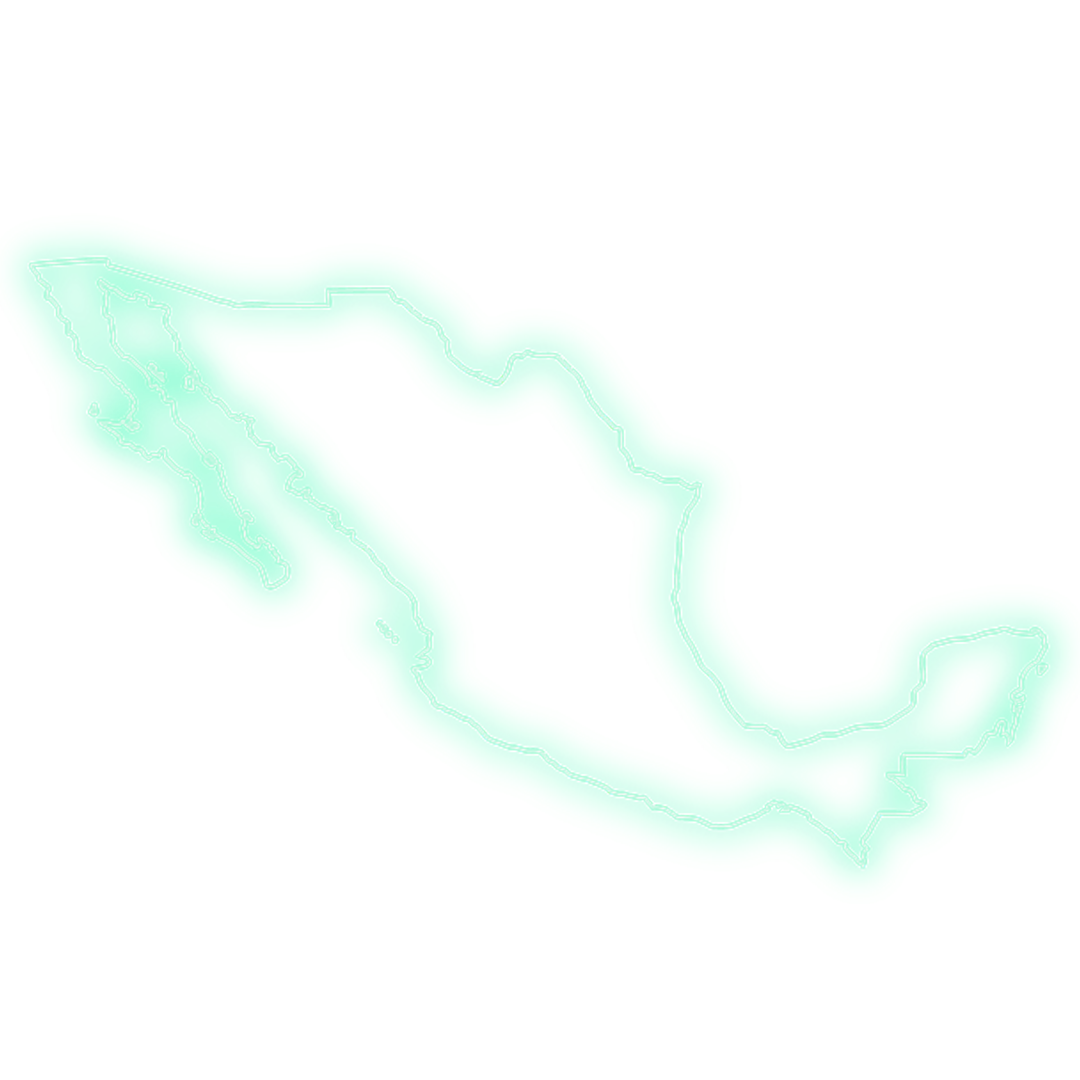 Contorno de color verde menta pálido de una forma abstracta e irregular sobre un fondo blanco.
