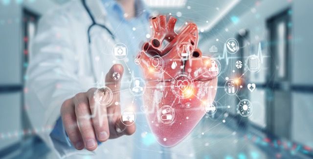 A Doctor's Hand is Touching a Virtual Heart Screen with White Medical Icons Hovering — Bespoke Institute In Southport, QLD