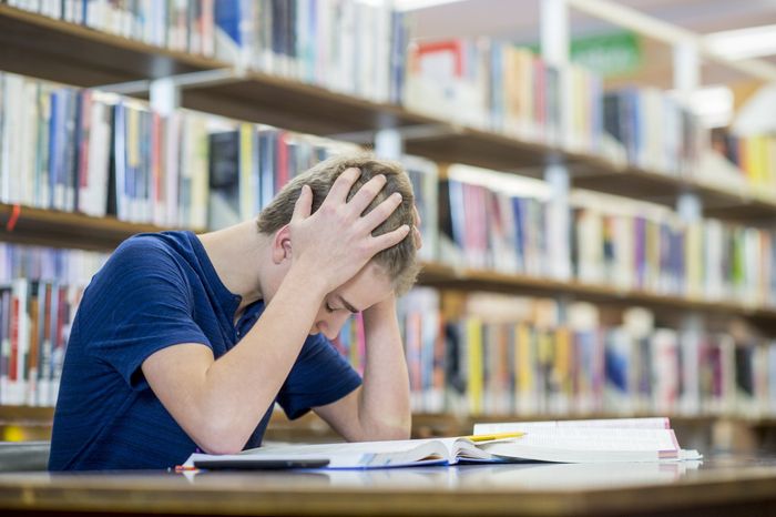 Trouble Comprehending Book — Fair Oaks, CA — ReadThinkRemember - RTR Trouble Comprehending Book — Fair Oaks, CA — ReadThinkRemember - RTR