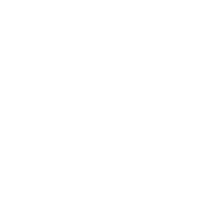 White Levyl logo