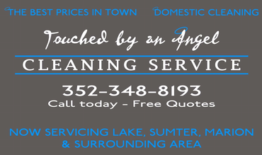 Touched by an Angel Cleaning Service logo