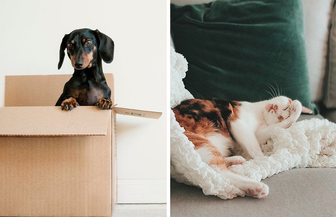 Personal Preference Should Influence Your Decision to Rent or Buy As Much As Any Other