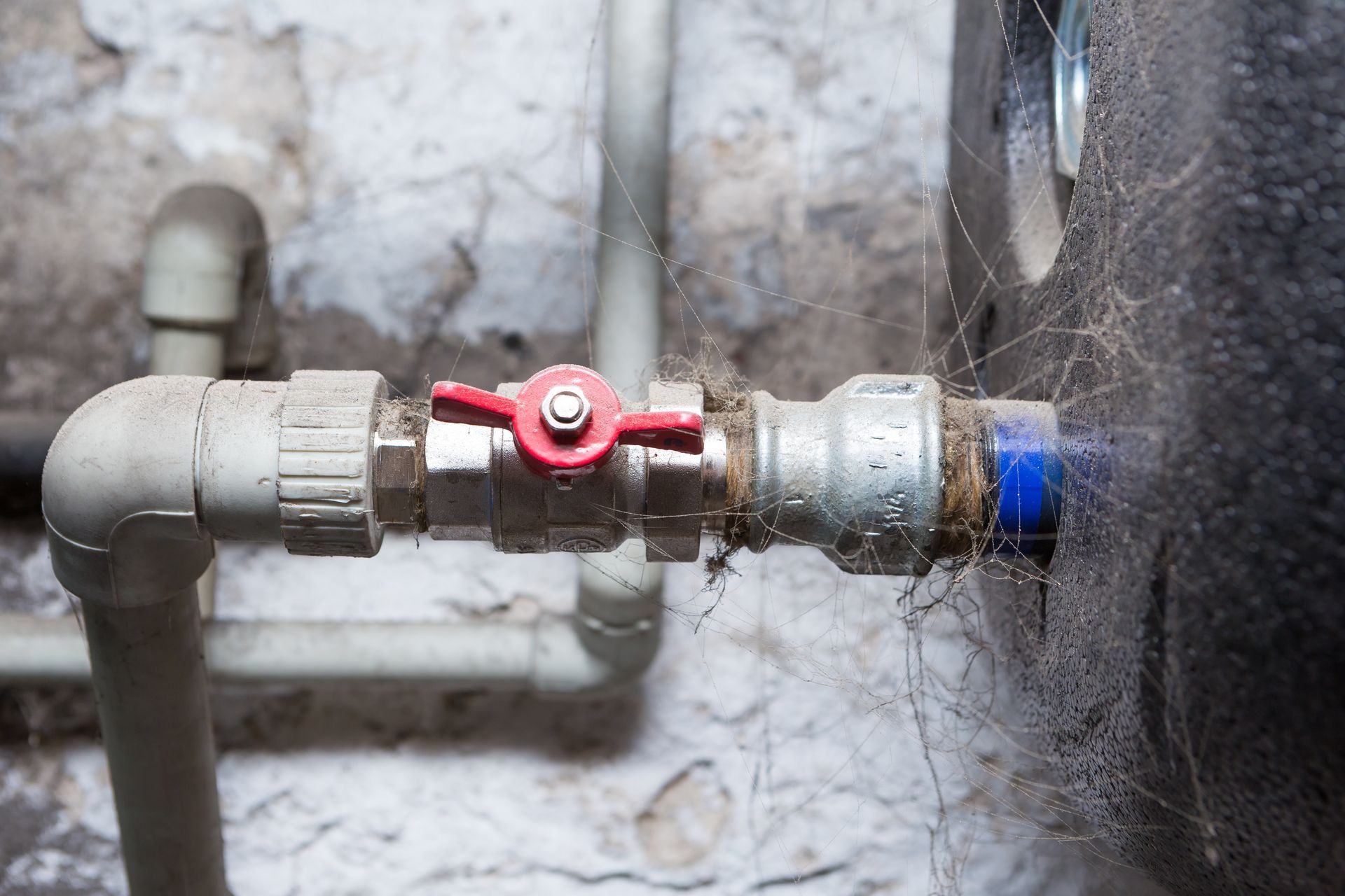 A close up of a red valve on a water pipe.