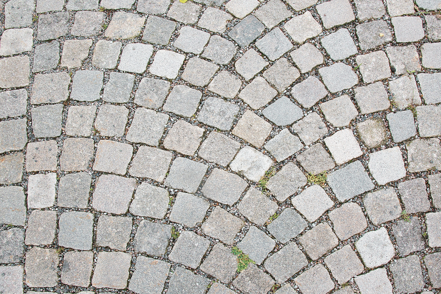 Curved cobblestone pavement with light gray stones and small patches of moss