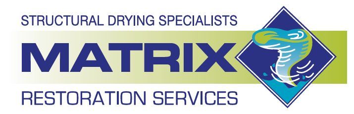 Logo for Matrix Restoration Services: Blue 