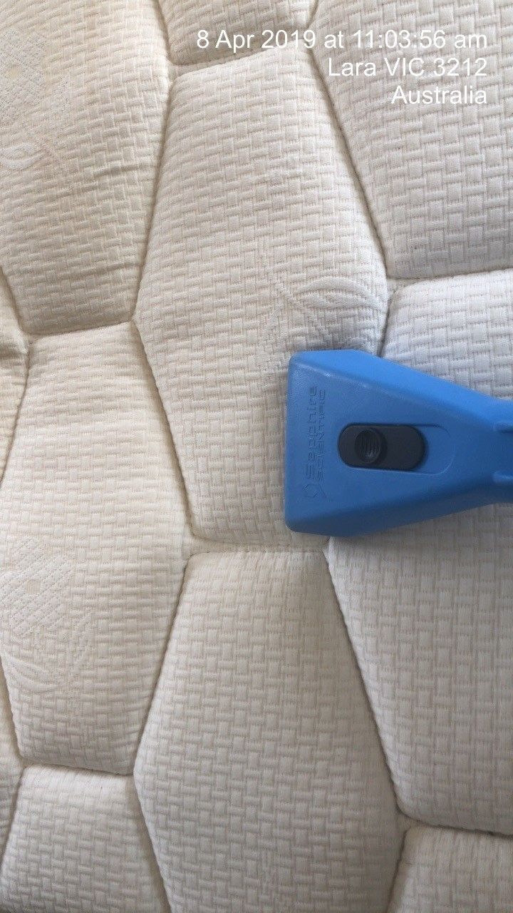 A person is cleaning a mattress with an upholstery cleaner.