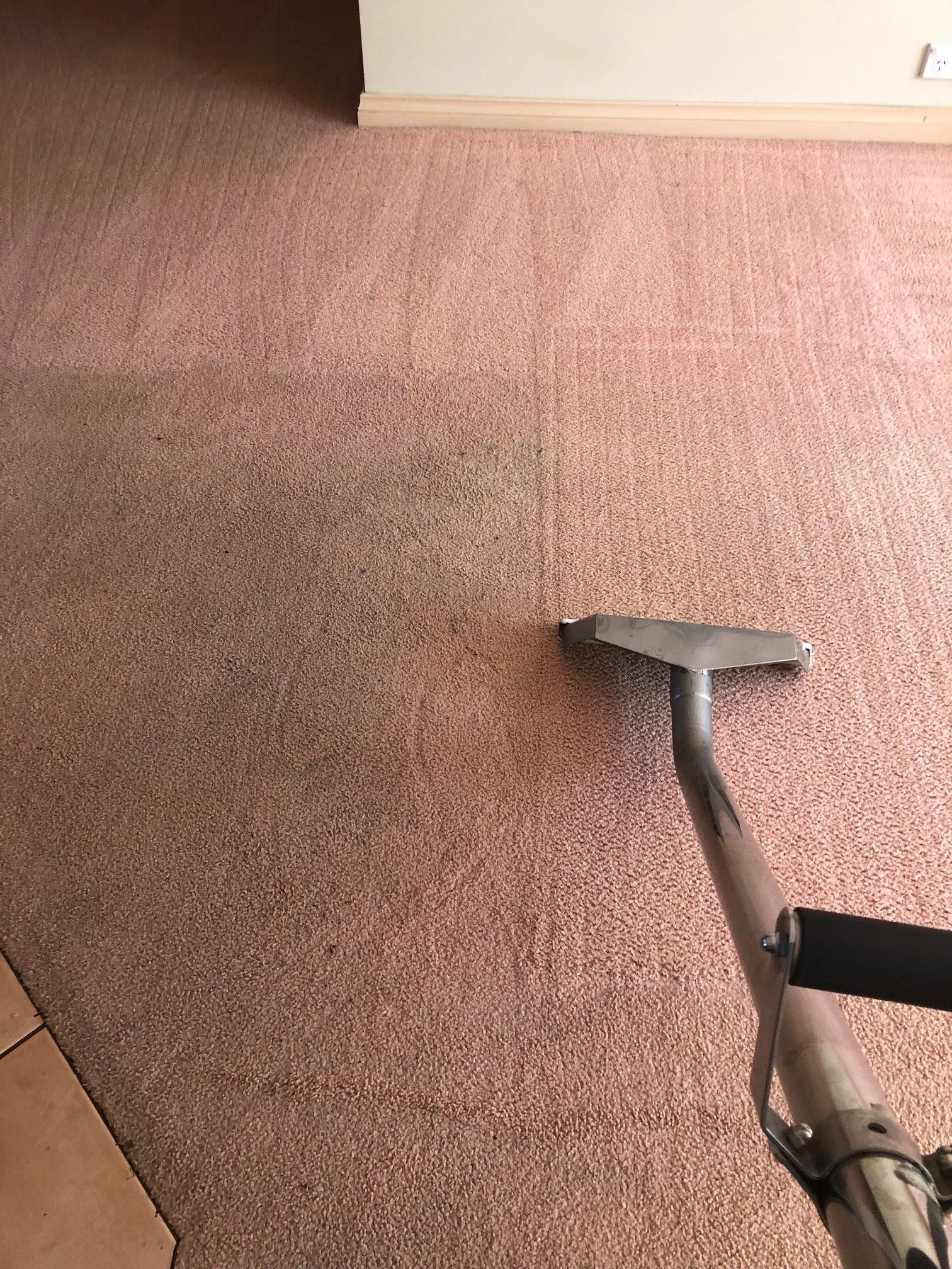 A carpet cleaner is cleaning a pink carpet in a room.