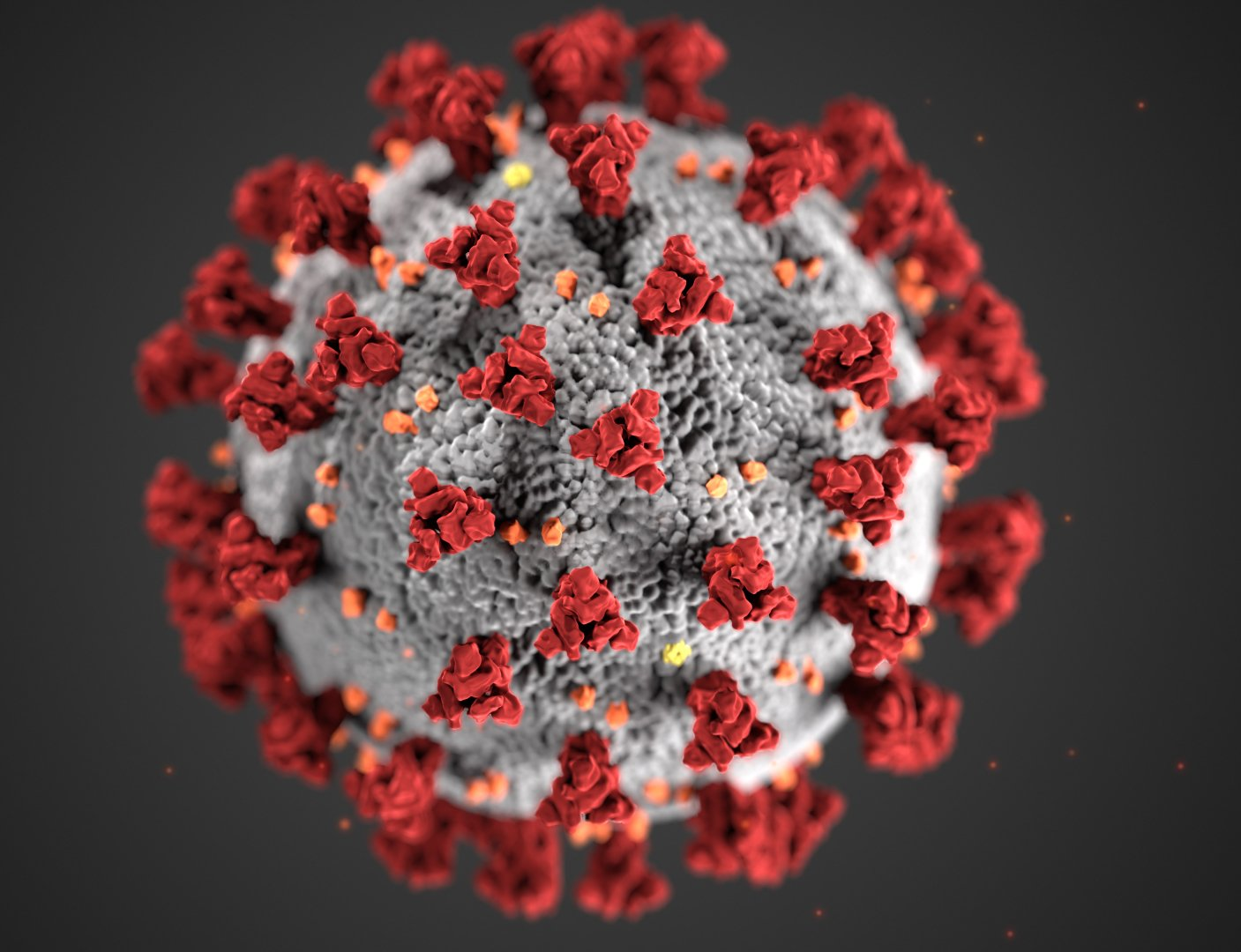 a close up of a virus with red and white cells on a black background .