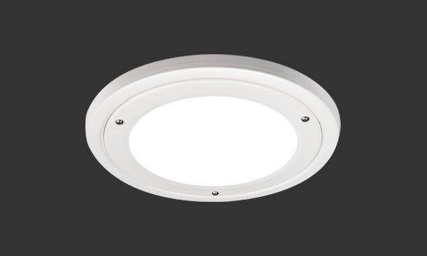 Anti Ligatur Downlight