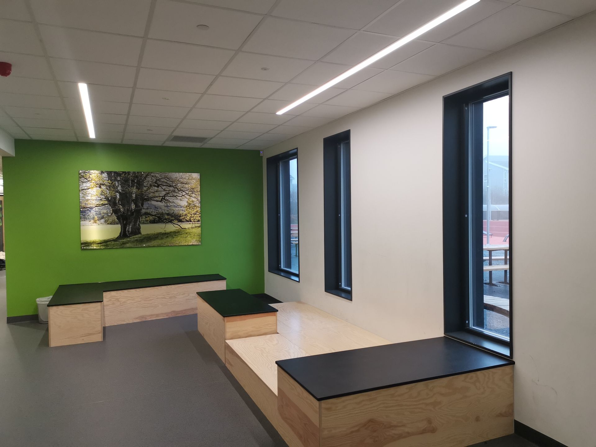 Skole Belysning