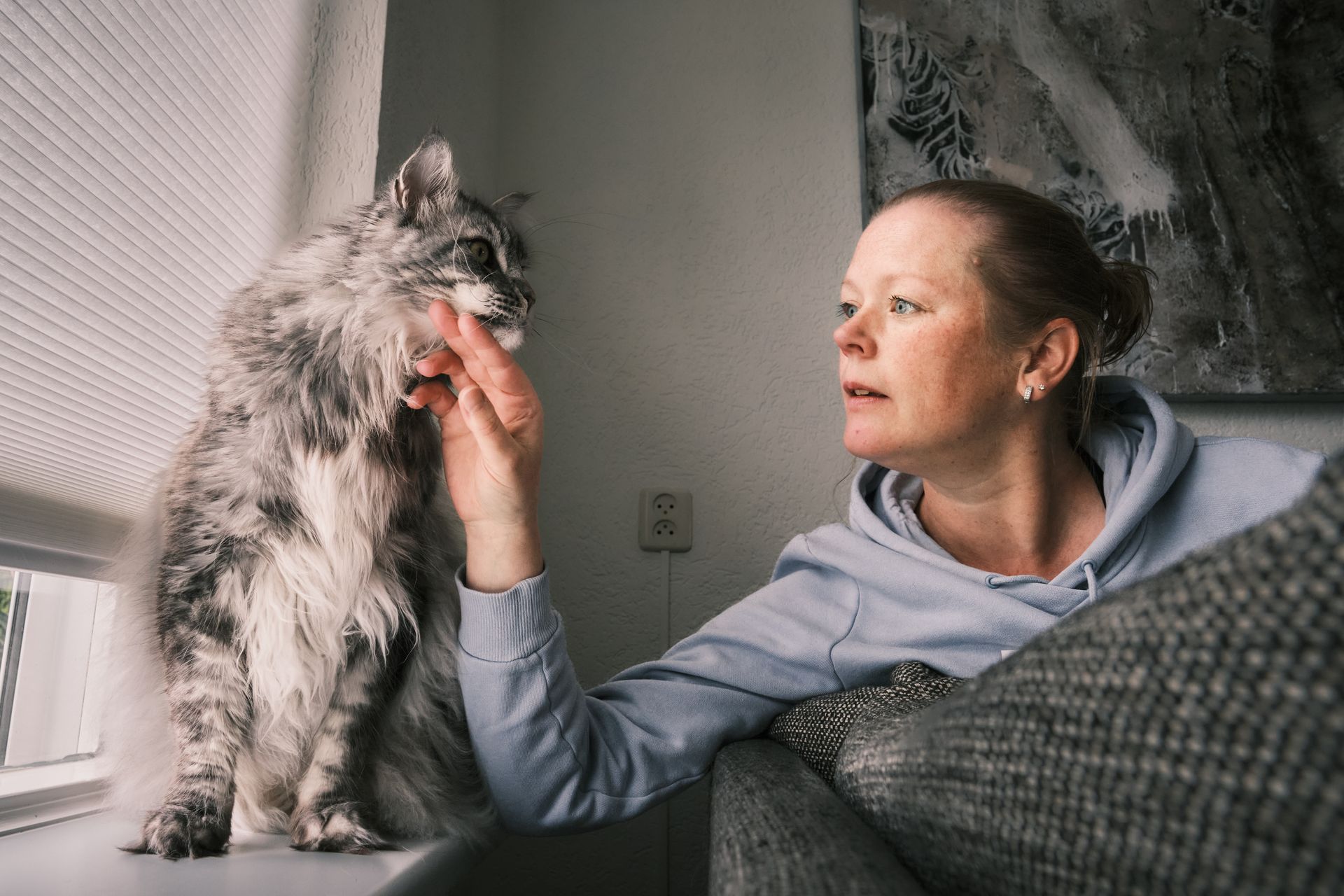 Hoe ga ik te werk tijdens een katvriendelijke trimbehandeling