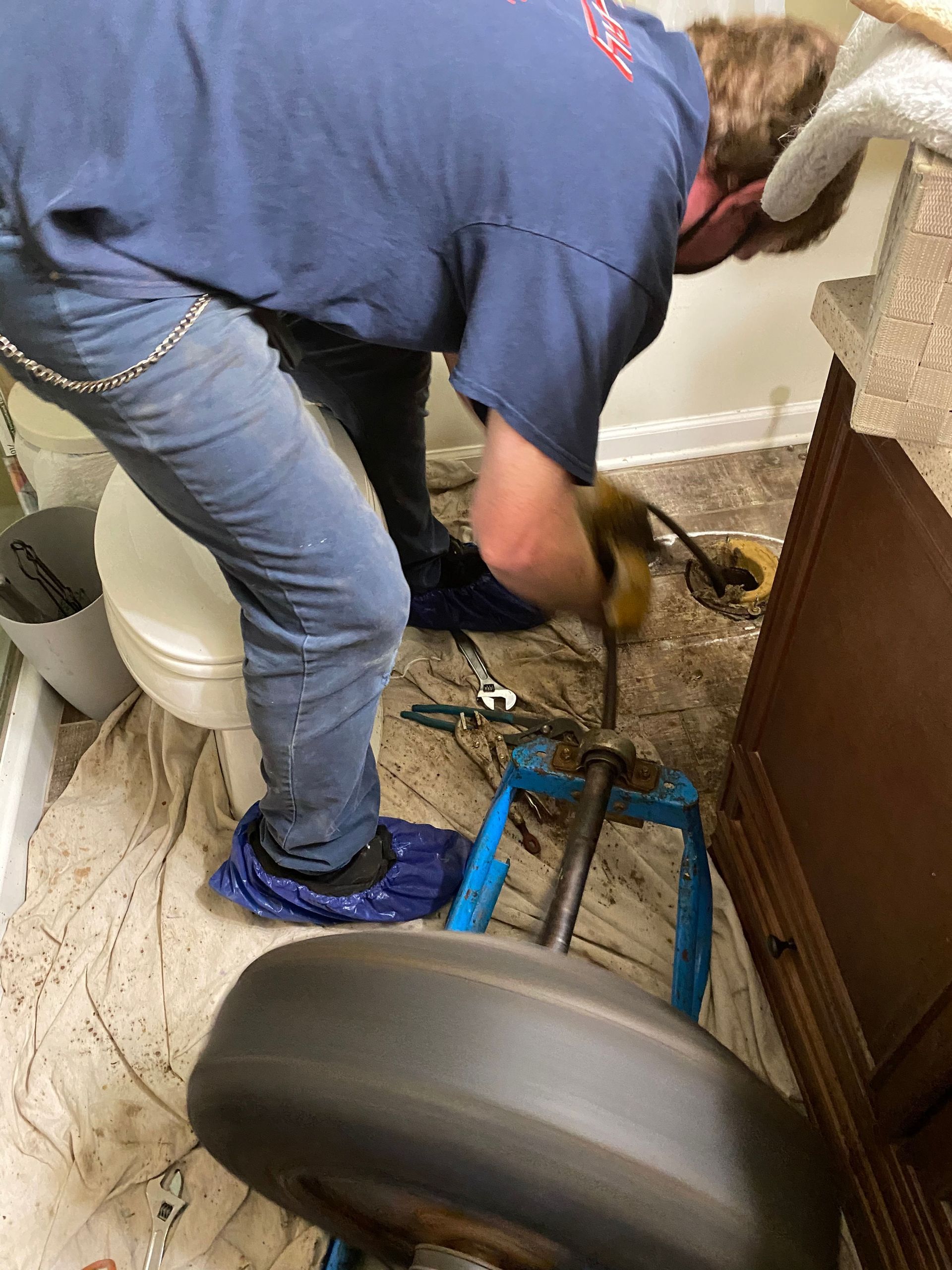 Person bending over a dog on a blue wheeled stretcher in a carpeted home interior