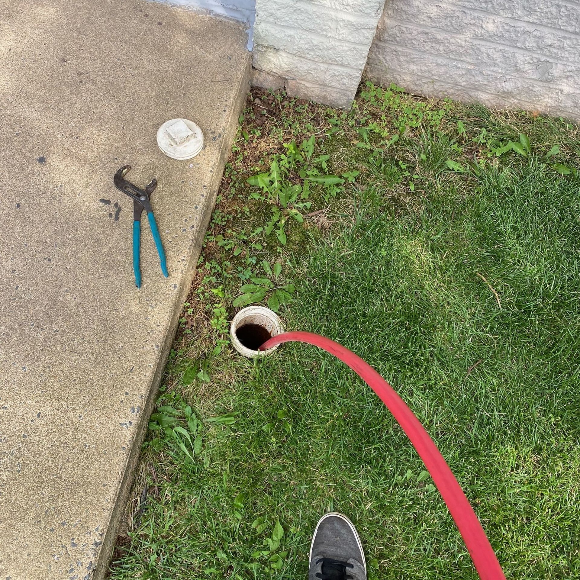 Red hose on grass beside a concrete walkway, with blue-handled pliers nearby.