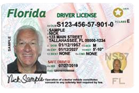 Driver License / ID Card Driver License / ID Card