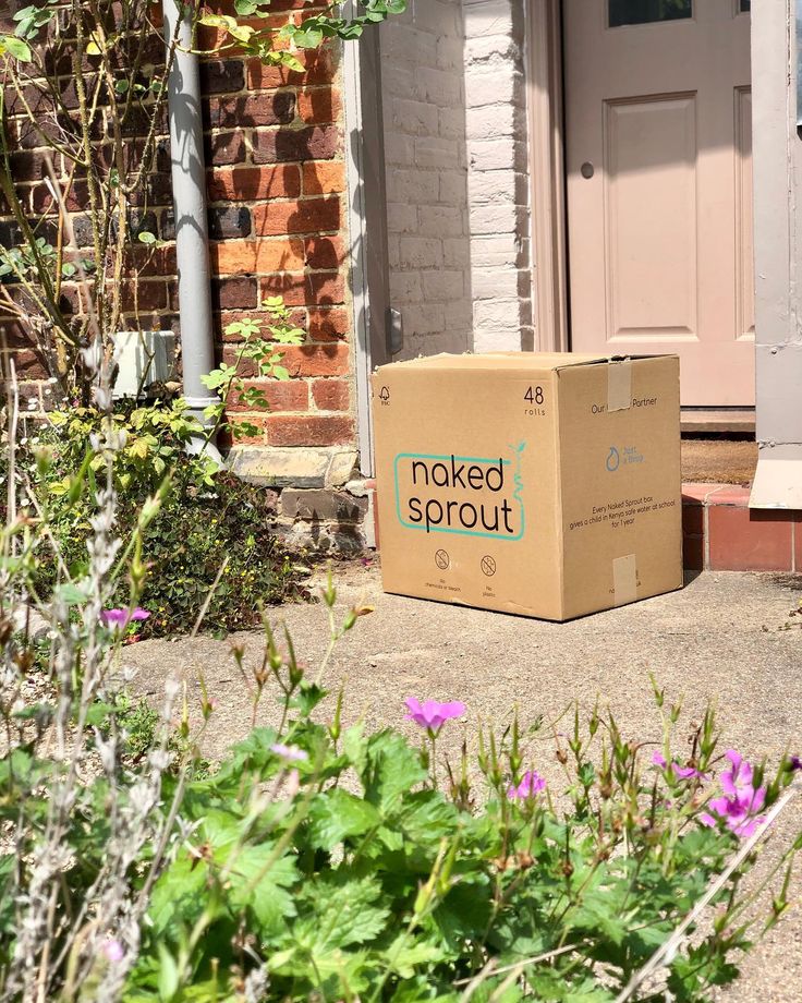 Best Bamboo Toilet Paper Naked Sprout vs. WGAC vs. Bazoo