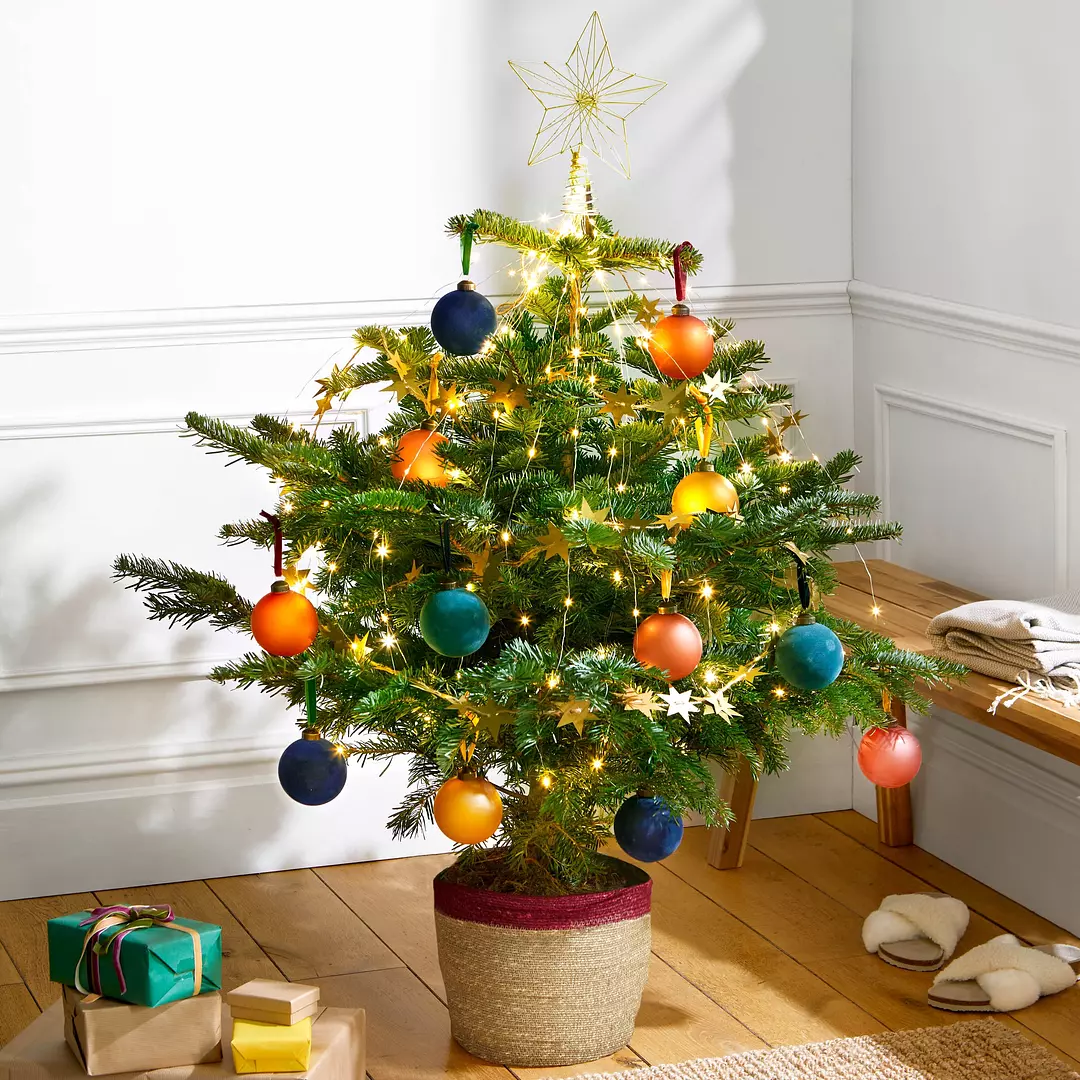 A small christmas tree is decorated with colorful ornaments and lights