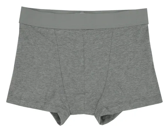 A pair of grey boxer shorts with a grey elastic band