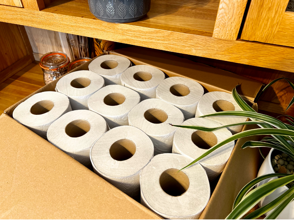 a box filled with rolls of toilet paper next to a plant .