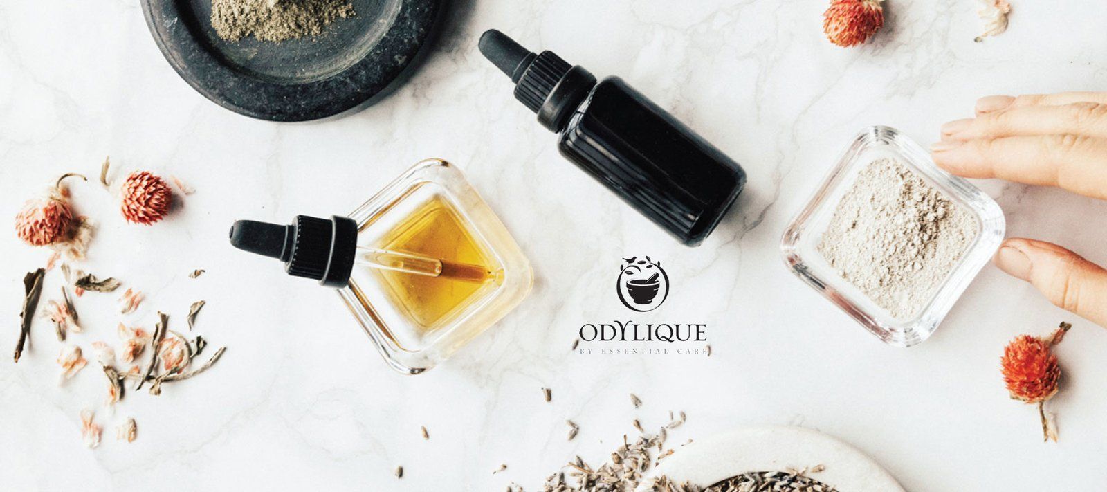 odylique organic makeup natural ingredients