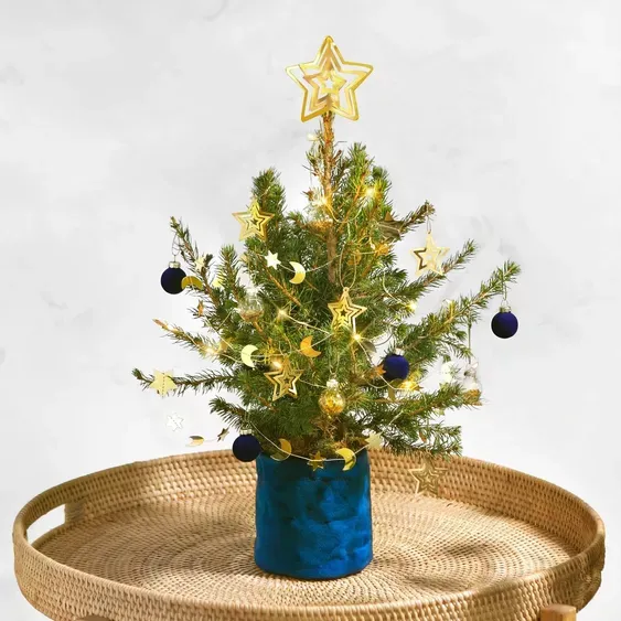 A small christmas tree is sitting on a wicker tray.