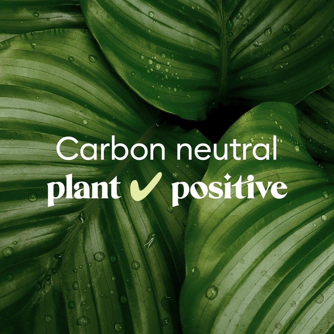 A close up of a plant with the words 
