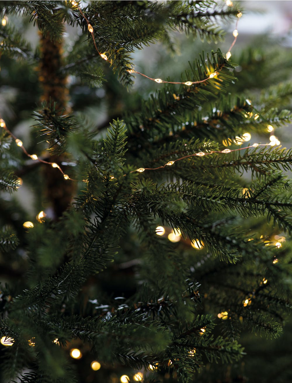 A close up of a christmas tree with lights on it.