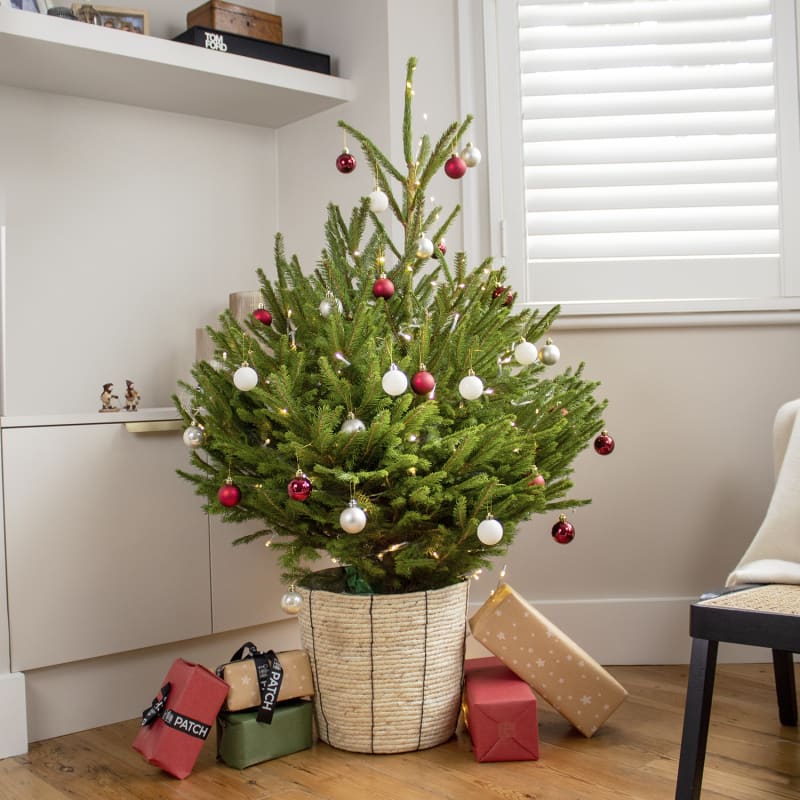mini decorated tree with lights
