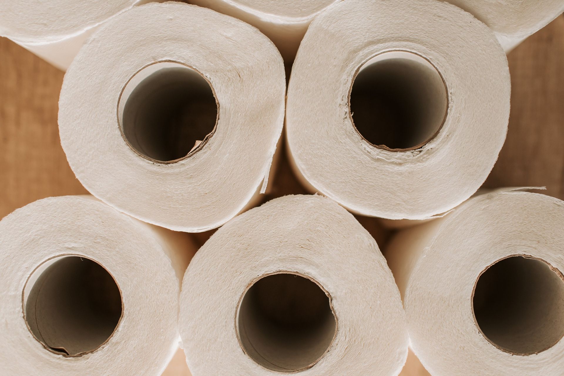toilet paper rolls
