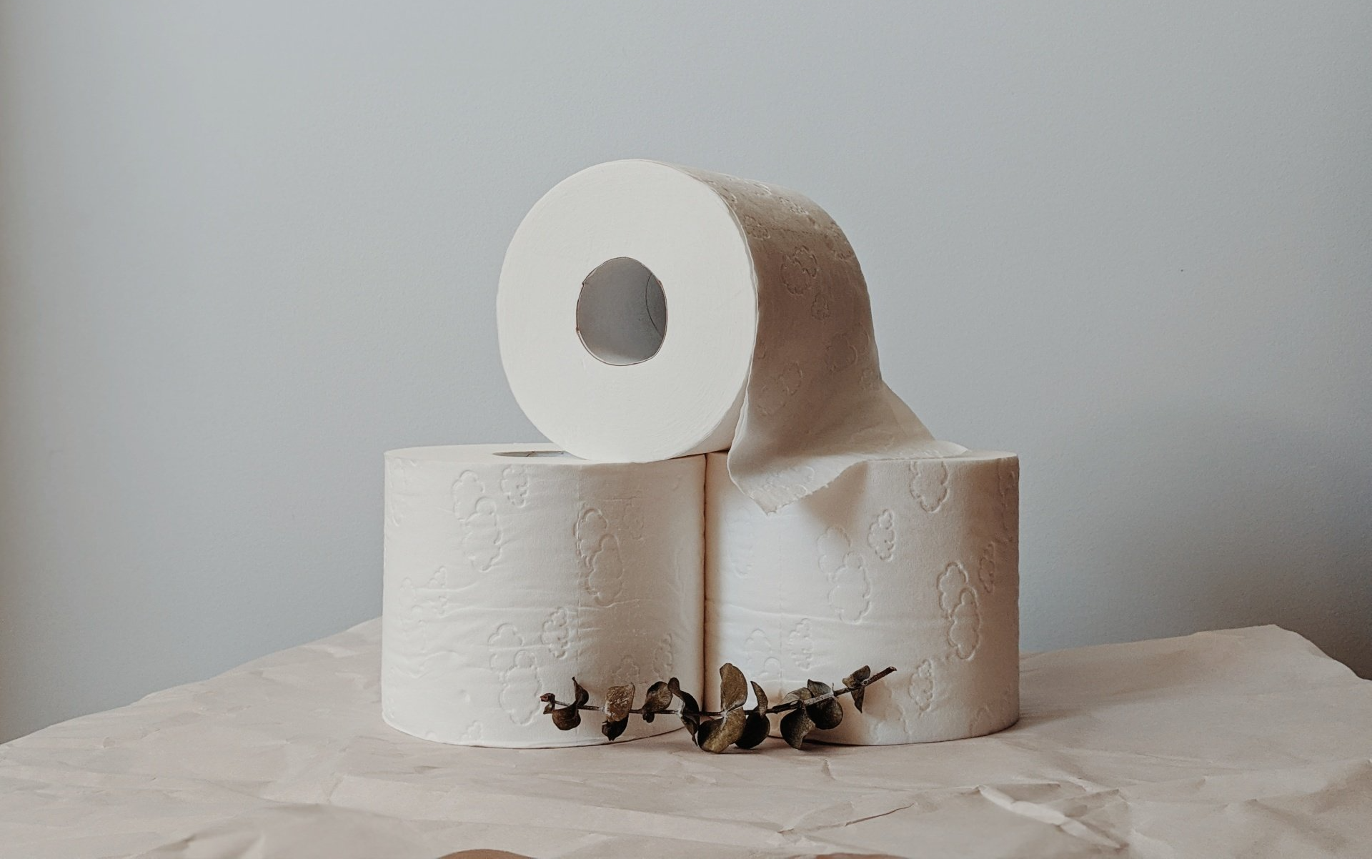 eco friendly toilet paper