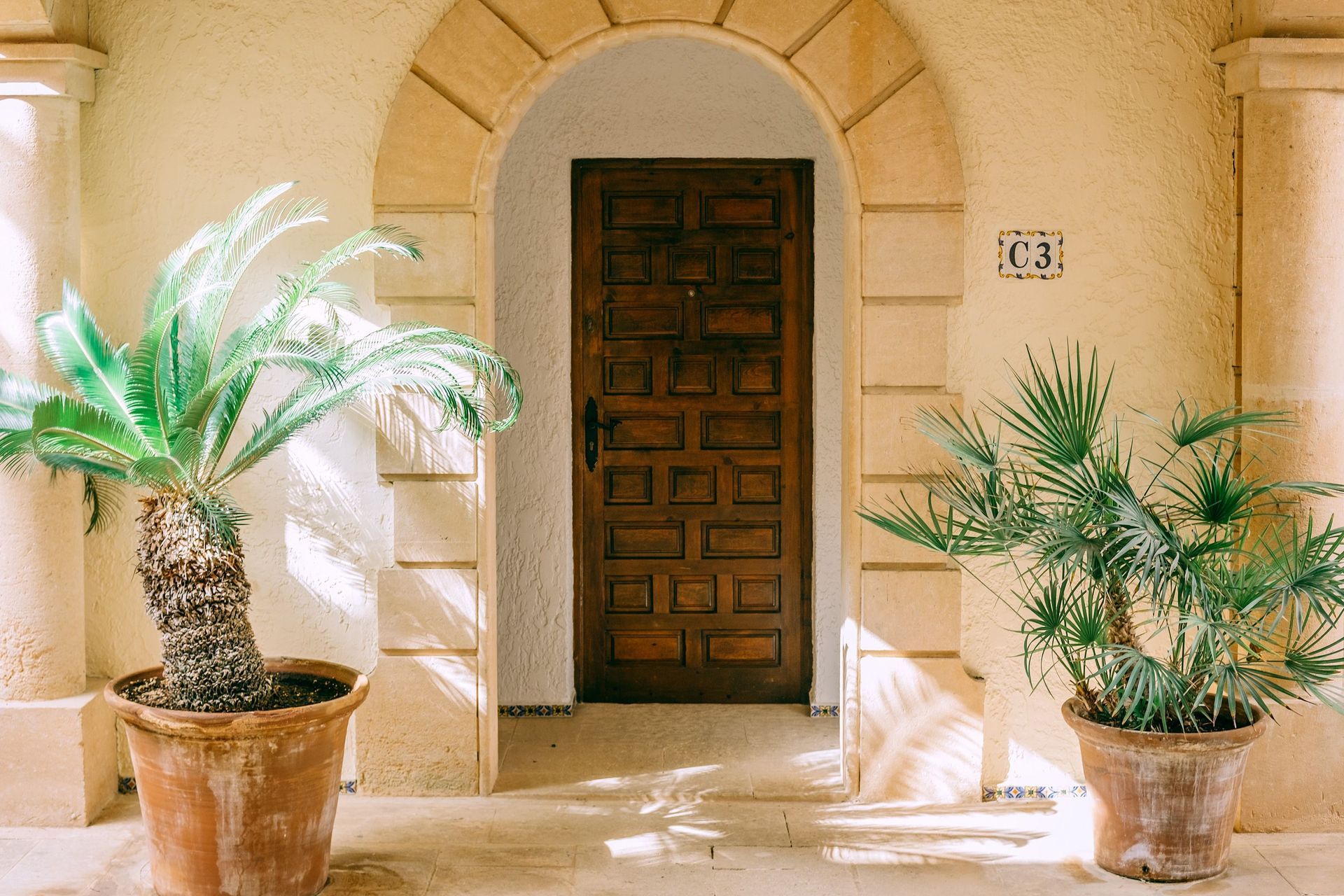 Sunlit courtyard with an arched wooden door and two potted palm plants