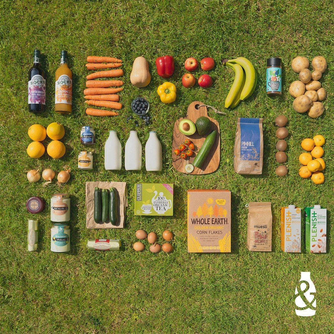 a variety of fruits and vegetables are laid out on the grass .