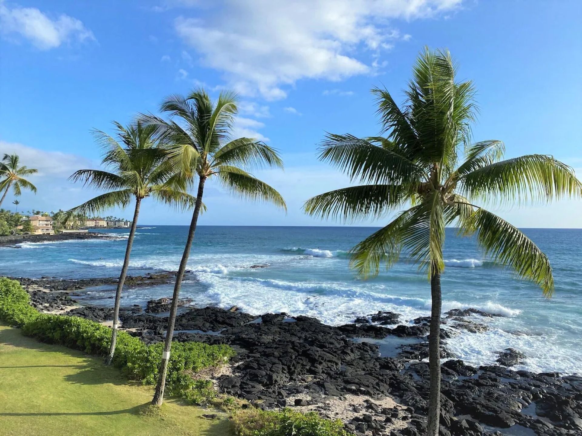 Tropical beach with palm trees, black lava rocks, blue ocean, and waves under a clear sky